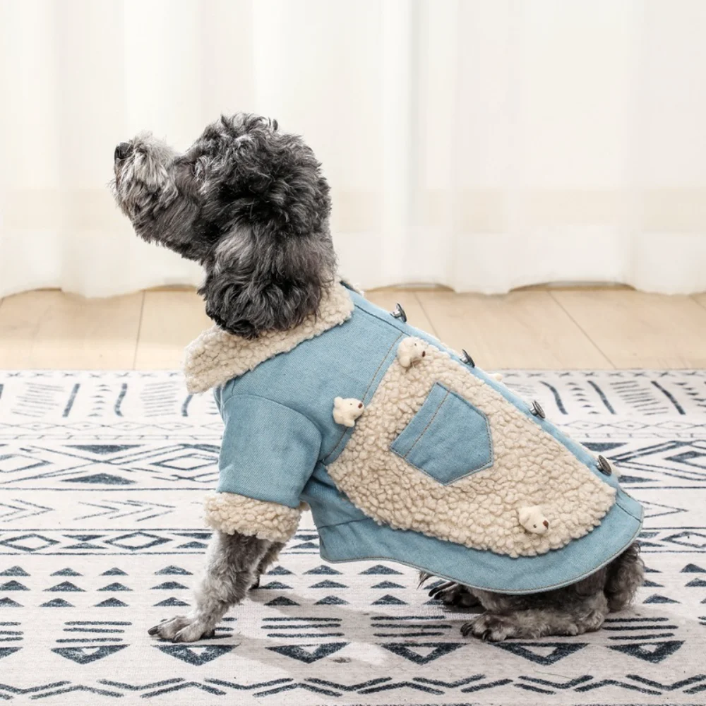 Do Poodles Need Winter Coats