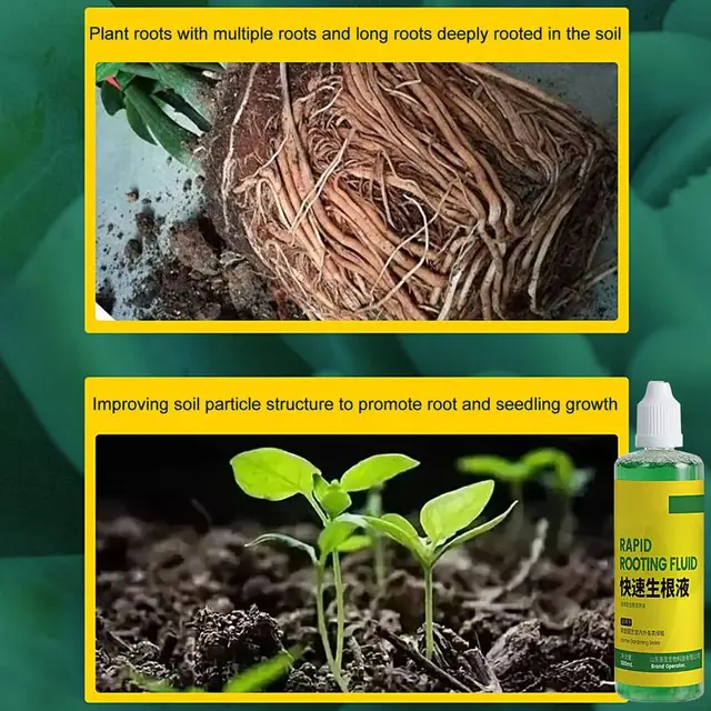 Gyökérnövekedési Hormonok Gyökerező Dugványokhoz Folyékony Nagyteljesítményű Szerves Növények 100 Ml Transzplantációk Zöldségfélék - Image 4