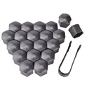 20pcs Gray