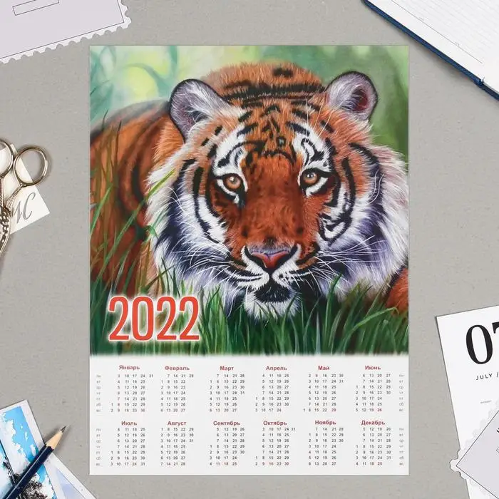 А4 Новые Ролики 2022 Года