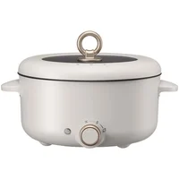 220V Electric Hot Pot Multicooker Household Non-stick Cooking Machine Frying Pan Pot 5L Double-flavor Hot Pot 3L Single Pot 2
