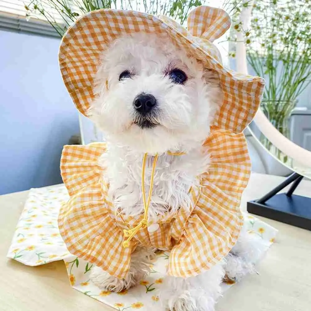 Dog Small Ear Plaid Shade Cute Hat Pet Dog Fashion Adjustable Cap Summer Comfortable Sun Protection Hat Pet Supplies