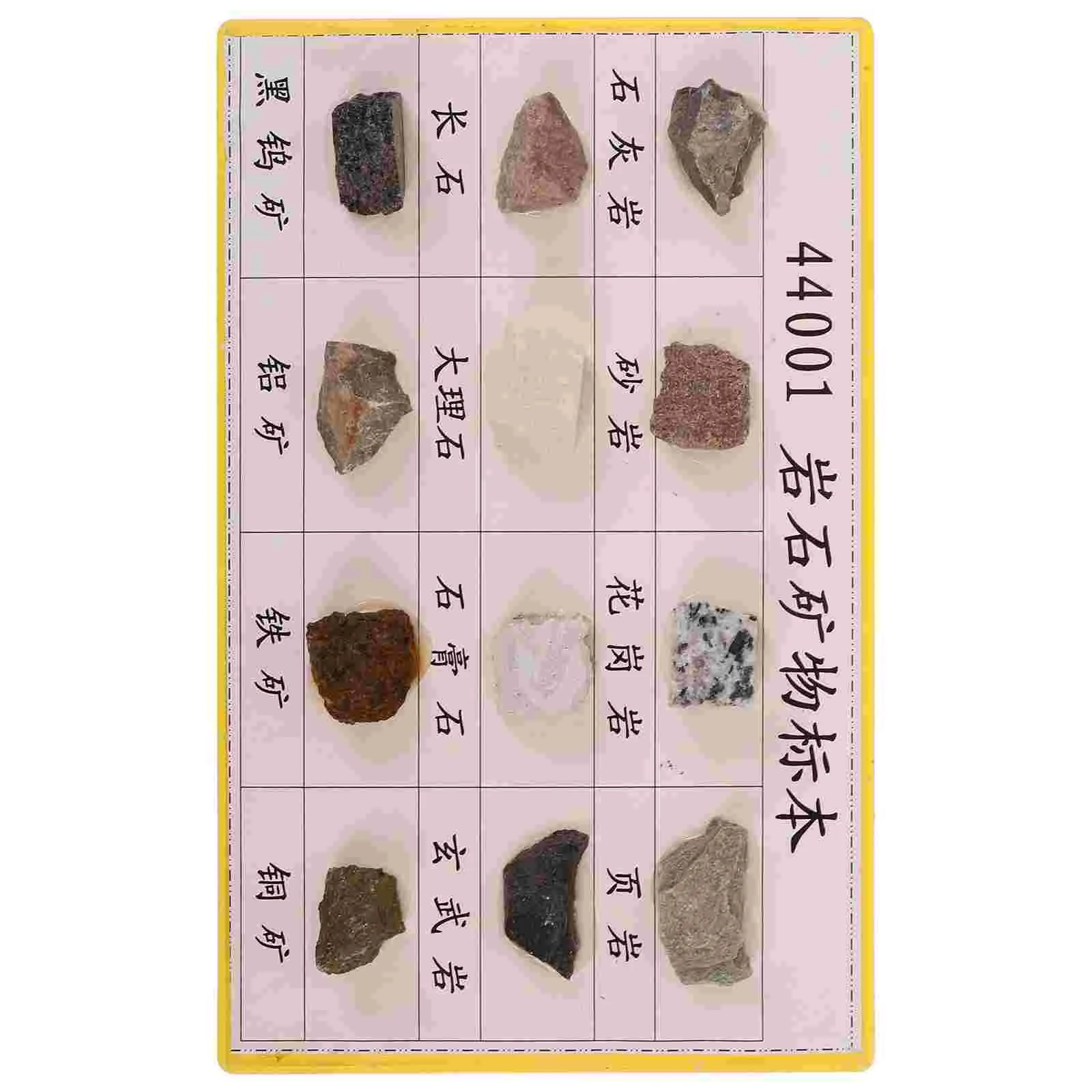 

12 Pcs The Rock Specimen Set Biological Experiment Specimens for Primary and Secondary Schools