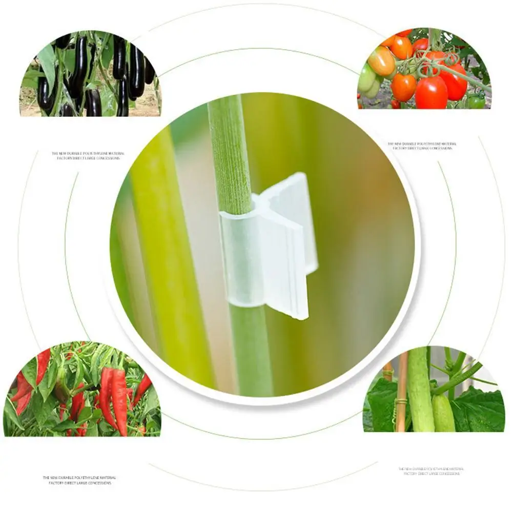 50/100 Pcs Vegetable Fruit Grafting Clip Watermelon Strawberry Tomato Transparent Plant Support Clamp Gardening Accessories grafting clamps