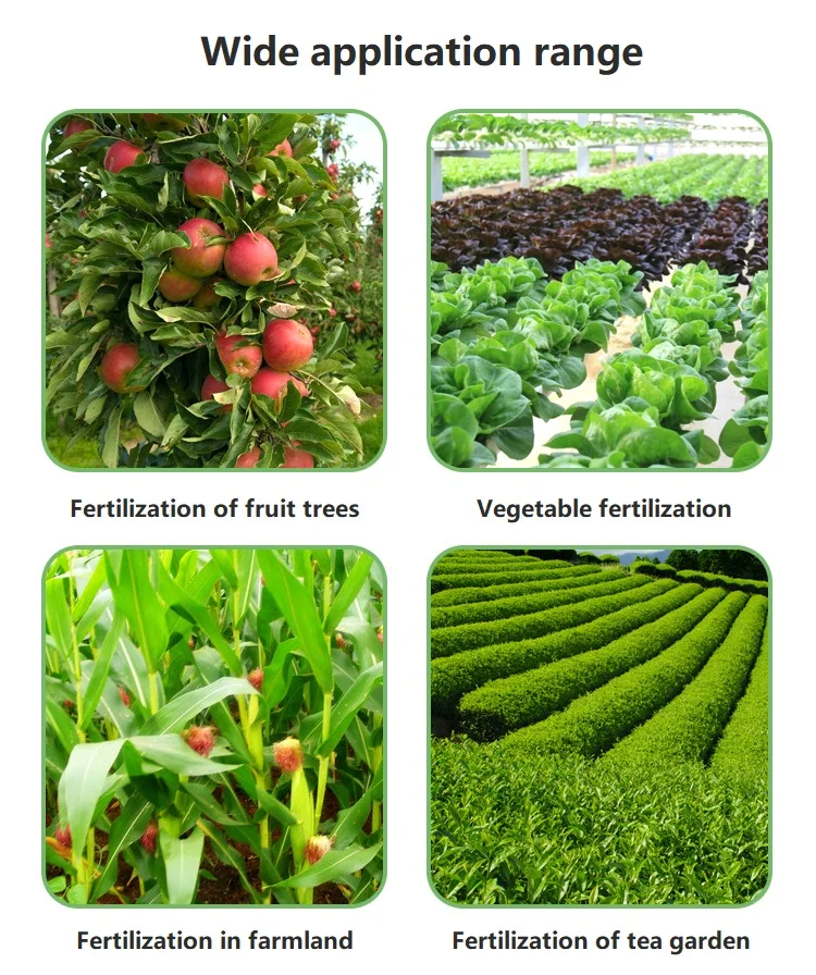 Description Picture 3 of itemMultifunctional Liquid Fertilizer Applicator, 20L, Fruit, Vegetable, Farmland, Tea, Garden, Underground Root Fertilizing