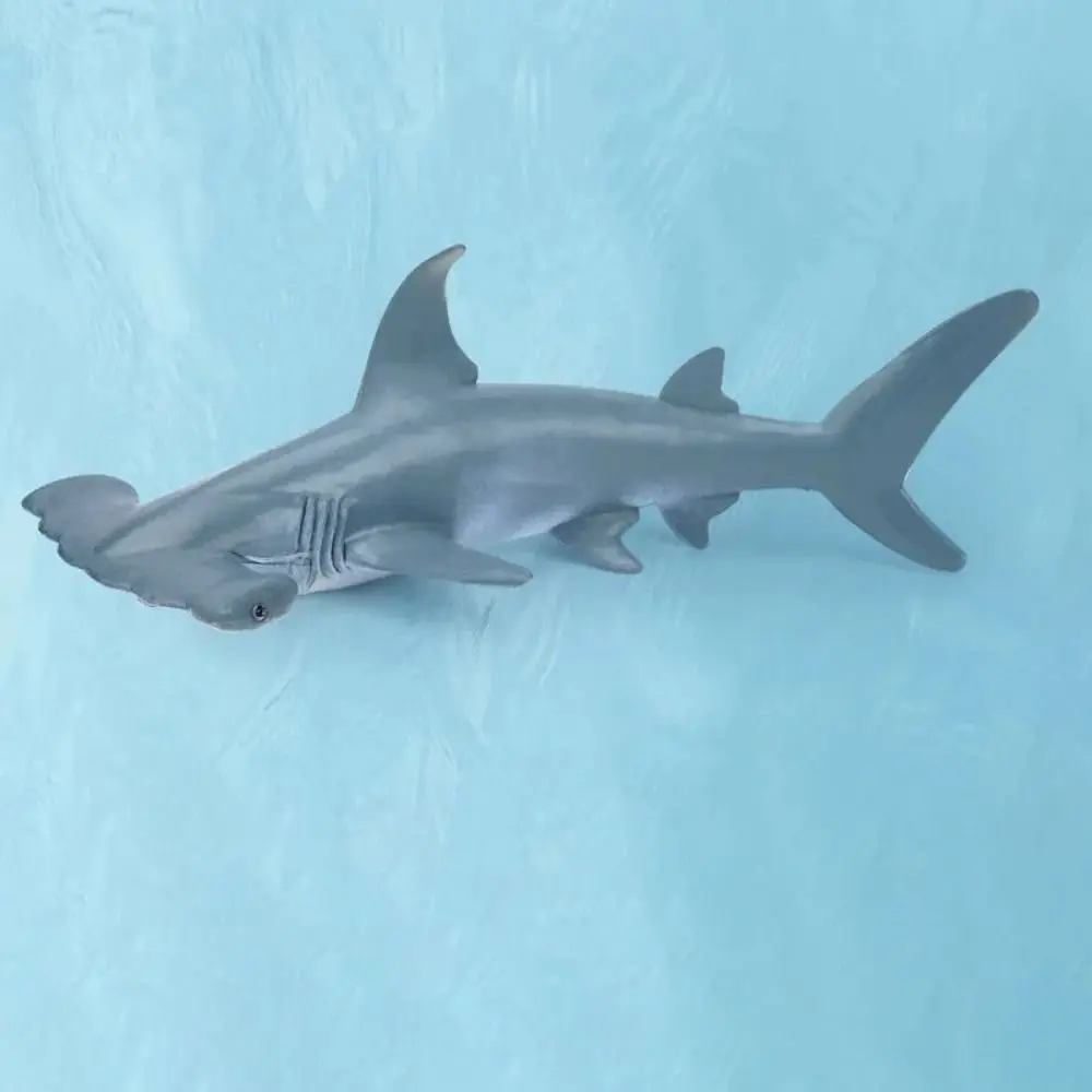 Marine Sea Life Action Figures - Whale, Shark, Cachalot & Dolphin Educational Toys