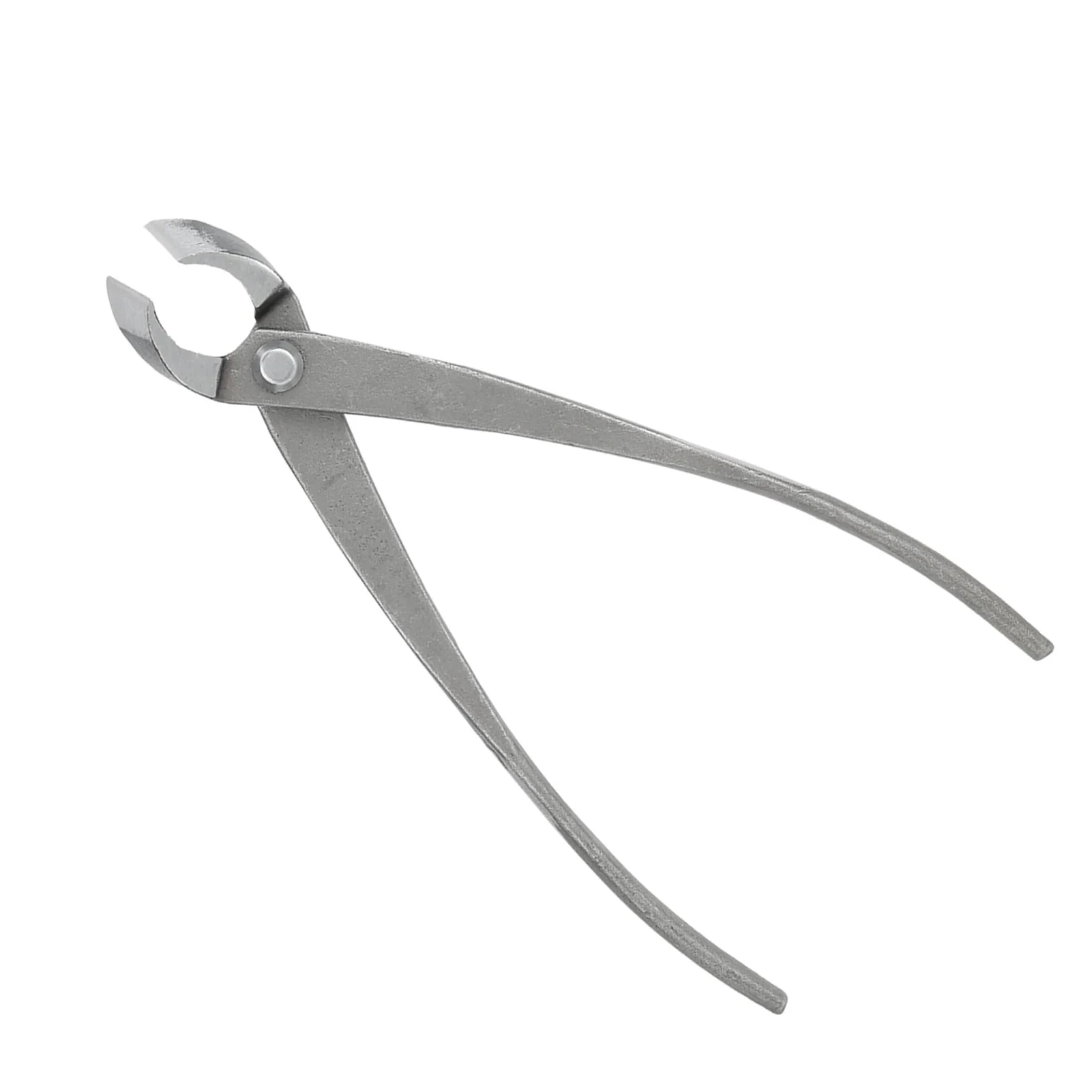 Description Picture 4 of item210mm 8 inch Garden Branch Cutter Forged Steel Round Beginner Scissors Cutter Knife Bonsai Tools Garden Tree Cutter