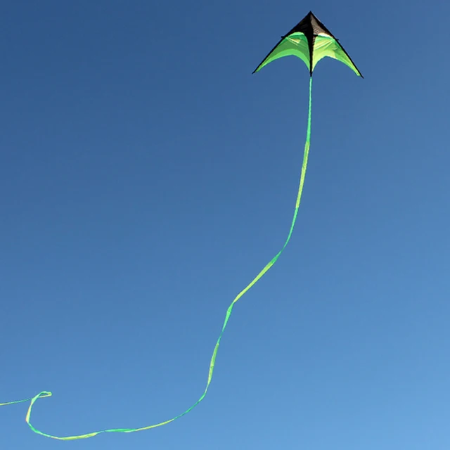 Huge 1.6m Power Triangle Kite Flying Tails Kites Outdoor Fun Toy Easy to Fly For Children Adults Gift With Handle 100m Line 5