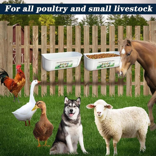 Chicken Feeder Chicken Feed Trough Chicken Feeder and Waterer Poultry Feeder  and Waterer with Hook Chick Feeder for Sheep Deer - AliExpress