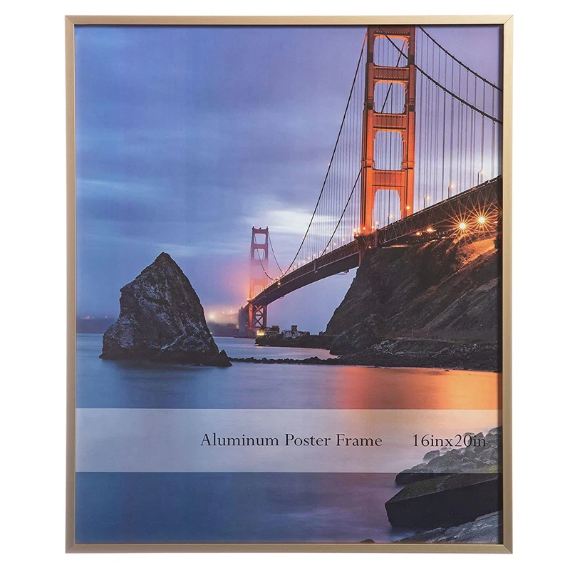 

16X20inch Brushed Aluminum Poster Picture Frame With Organic Glass 1-Pack