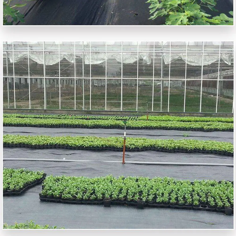 Description Picture 4 of item5m/10m Garden Landscape Outdoor Driveway Decking Membrane Agriculture Flower Bed Easy Install Weed Control Fabric Anti UV Border