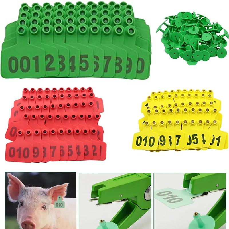 100PCS Large Plastic Pig Cattle Ear Tags Livestock Ear Tags for Sheep Cattle Calf Hog Animal No. 1-100 Color Identification Card