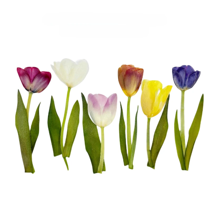 1 Stück, Getrocknete Tulpenblüten, Geprägte Natürliche Blumen, Handgemachter Fächer-Fotorahmen, Kleber für Handyhüllen, Schmuck, Grußkarten