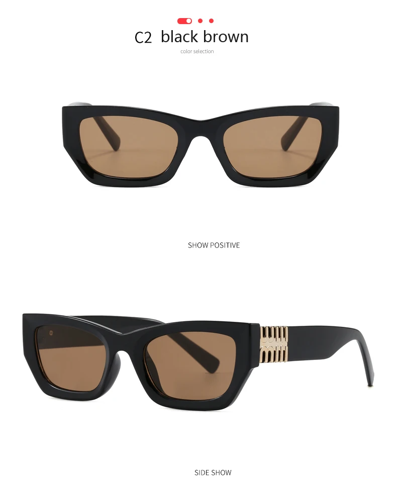 Schutzbrille Neue Mode Kleine Cat Eye Sonnenbrille Frauen Polygonale Urlaub Im Freien Sonnenschutz Niet Sonnenbrille UV400 – Detail 8