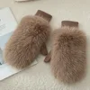 Imitation Rabbit Fur Windproof Gloves Soft Full Fingers Winter Warm Gloves Thick Warm Lining Women Mittens Cold Weather