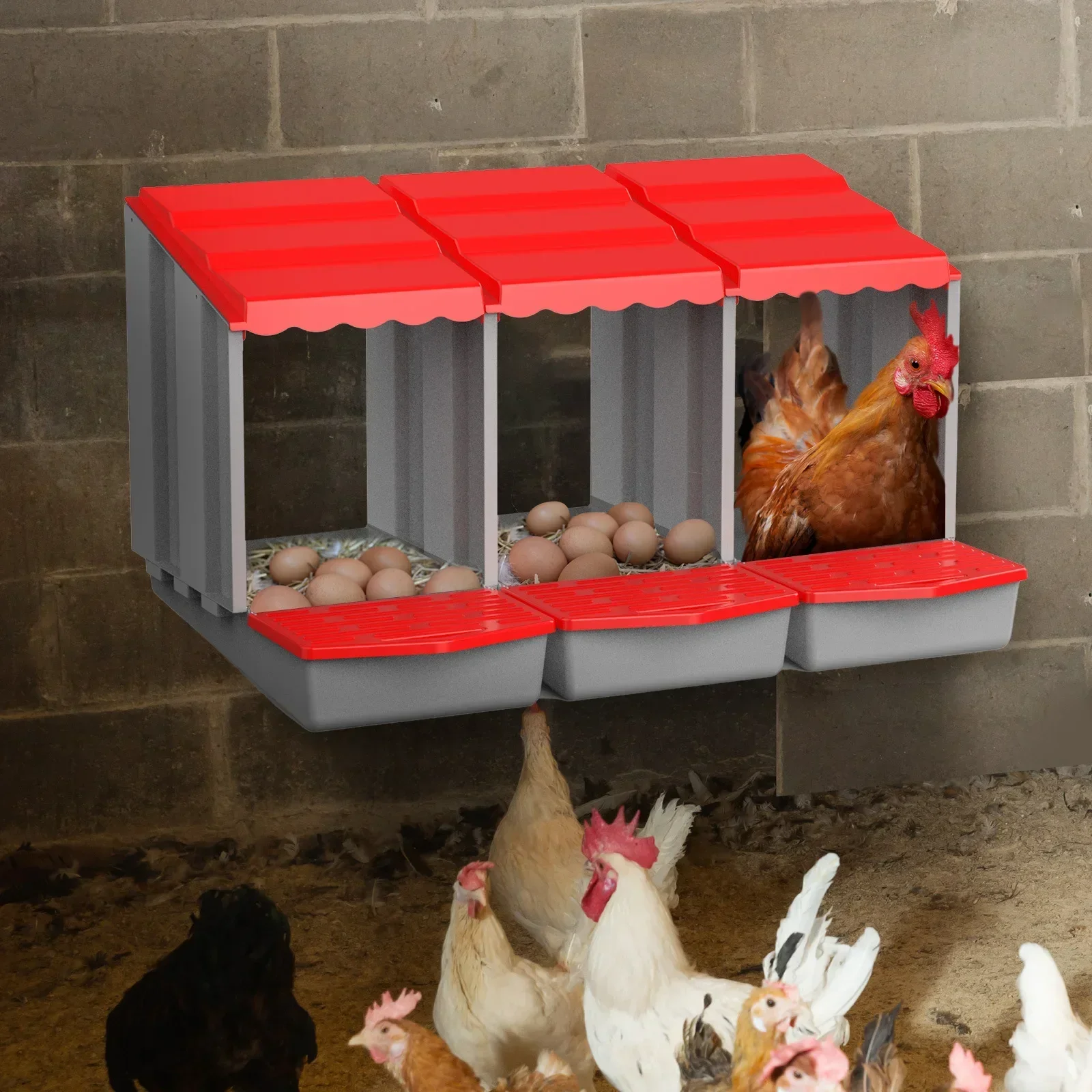 Caja Poner Huevos Gallinas Acero Galvanizado Caja Nido Para Gallinas 6  Compartimentos - Acero Galvanizado Con Recolector De Huevos Gallinero  Práctico Montaje Fácil, image size:1600x1600