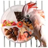 Parrot Gnawing Toy Bird Toy Wheel Cake Foraging Food Interactive Feeding Toy Foraging Ball Grid Food Box Parrot Toys 2