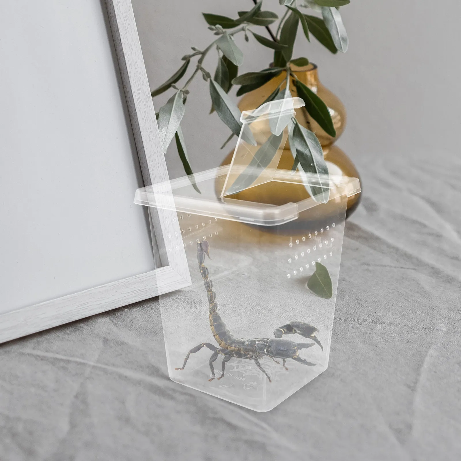 8Pcs 애완 동물 거미 먹이 상자 투명 파충류 케이지 다기능 환기 뱀 케이지 휴대용 가정용 파충류 상자