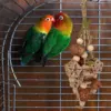 Parrot Supplies Cage Bite Training Perch Tearing Toy String Bird Chewing Toy for Parakeets Lovebird Budgie Cockatoos Conures 4