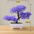 Yunsong violet