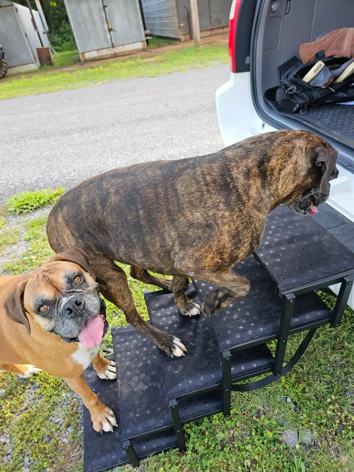 Outdoor In-Vehicle Mounted 5-Step Folding Pet Stairs Heavy-Duty Gaanized Dog Climbing Stairs Sports & Entertainment Product