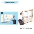 Vibration Sensor
