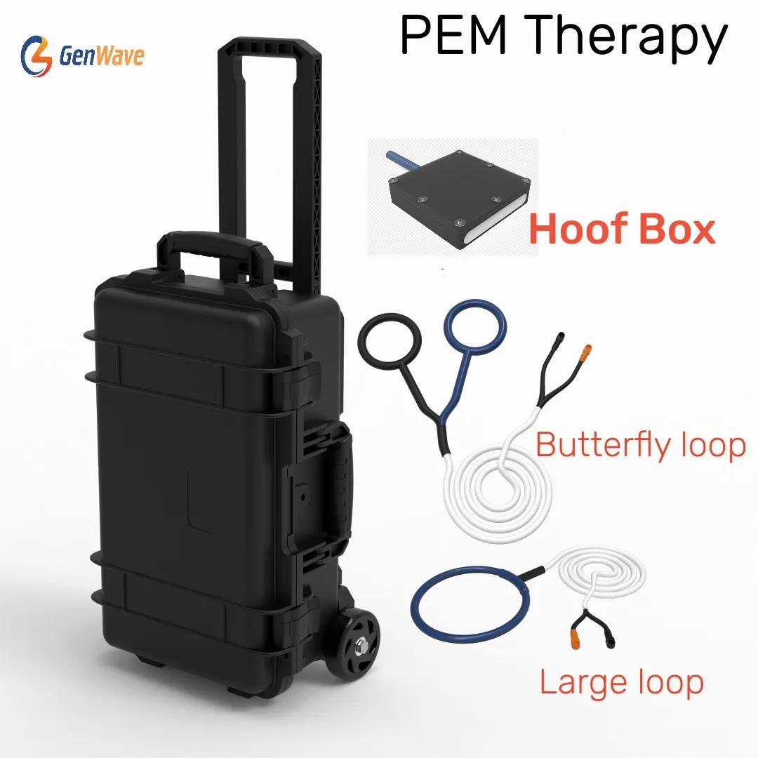 

Equine PEMF Therapy Device PMST LOOP Hores Magnetic Physiotherapy Machine with Hoof Box Large Loop and Buttrfly Loop