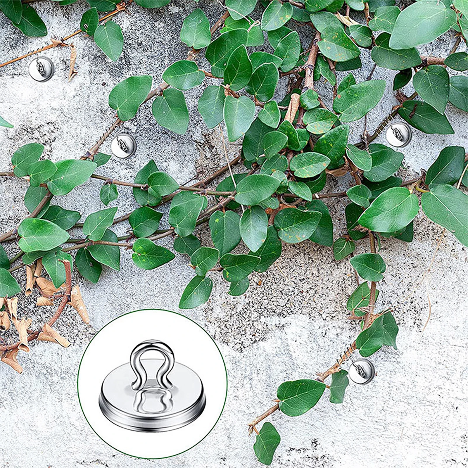 Trellis Anchor Plant Anchors Climbing Plant Anchor Tools Climbing Plants Supplies