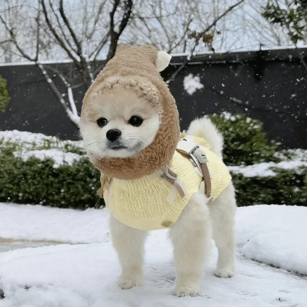 재미있는 따뜻한 애완동물 머리 보호대 편안한 소음 차단 애완동물 헤드기어 볼이 달린 부드러운 겨울 애완동물 모자 파티용