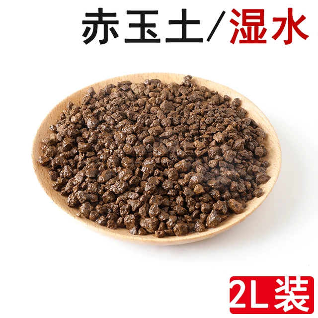 6-9 Mm-Es Japán, Sanben Vonal, Kemény Vörös Jade Talaj, Húsos Bonsai Speciális Részecskék Nagy Szemcsék Fertilizante Para Plantas - Image 2