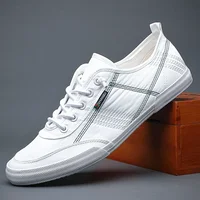 Loafers Walking Men Shoes Men Casual Shoes 2021 Spring Lace-up Sweat-Absorbant Breathable New Casual Canvas Sneakers 1