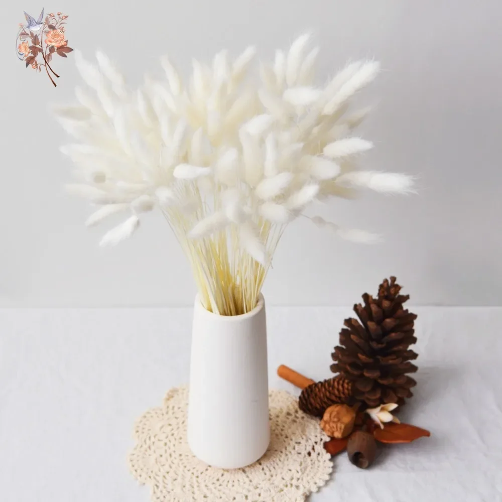 120 Code Di Coniglietto Naturali, Bouquet Di Erba Secca Lagurus