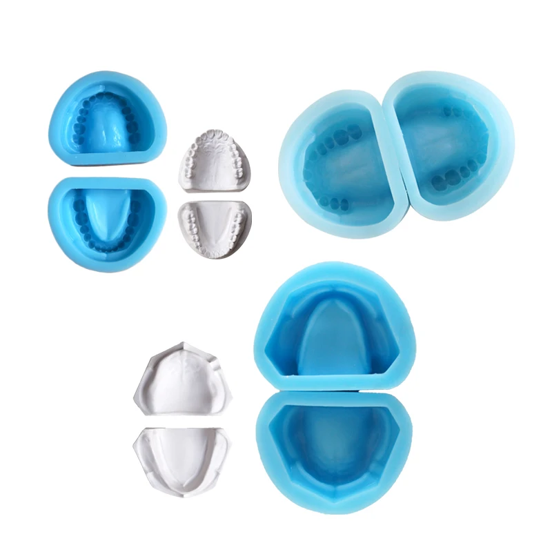 

Dental Standard Plaster Rubber Mold Mould of Edentulous Jaw Complete Cavity Block Dental Materials Dental Instrumemt 1set