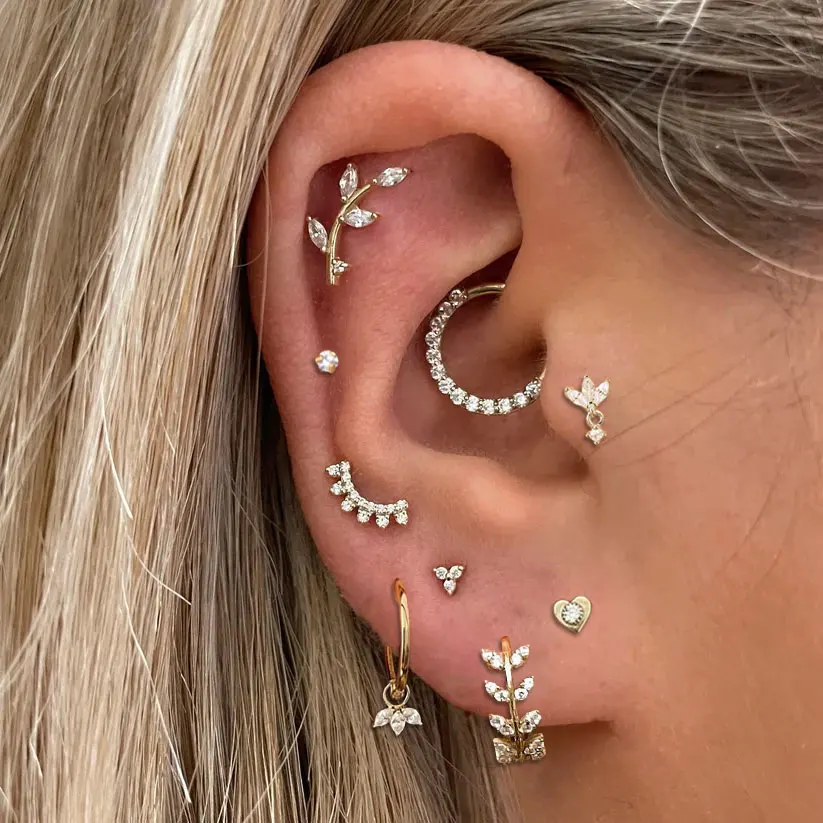 Piercing Jewelry Body Piercing Earrings Ear Piercing Jewelry Metal Jewelry Body Jewelry Body Piercing Jewelry Tragus Daith Helix Lobe Ear Piercing for Women Heart Leaf Zircon Cartilage Earring Stainless Steel Fashion Gift