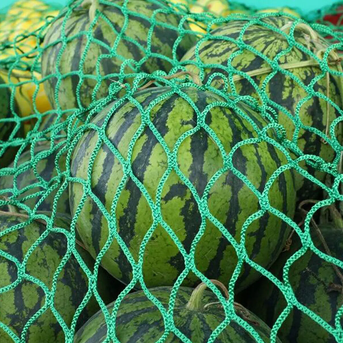 Polyethylene Car Roof Trailer Cargo Net - Image 3