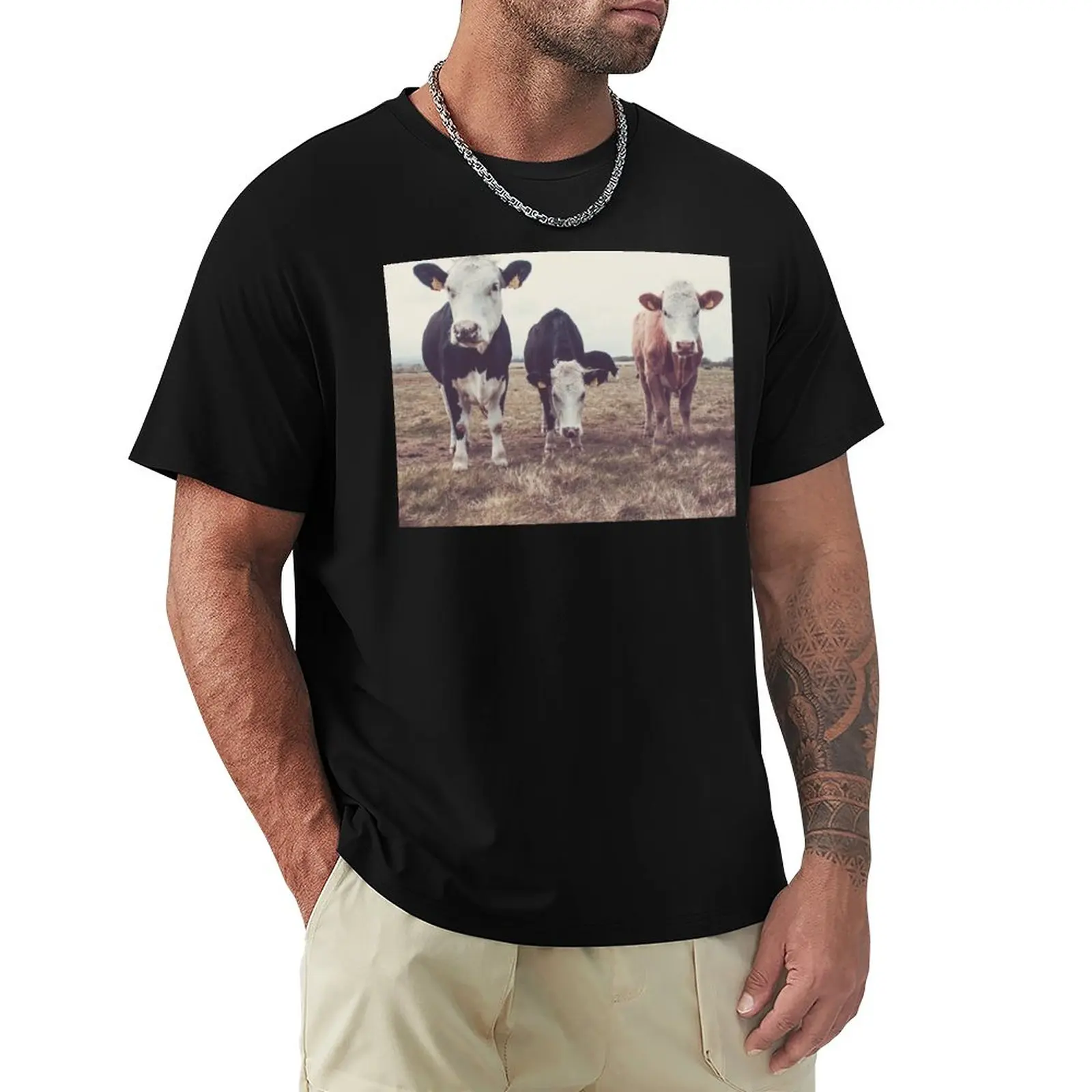 

Curious Cows T-Shirt cute clothes hippie clothes T-shirts for men cotton