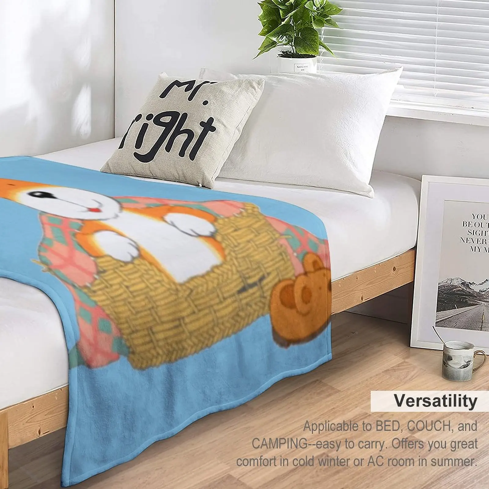 Kipper The Dog-��Ʈ�� ��� TV ������ ���, ���� ���� ���� ���