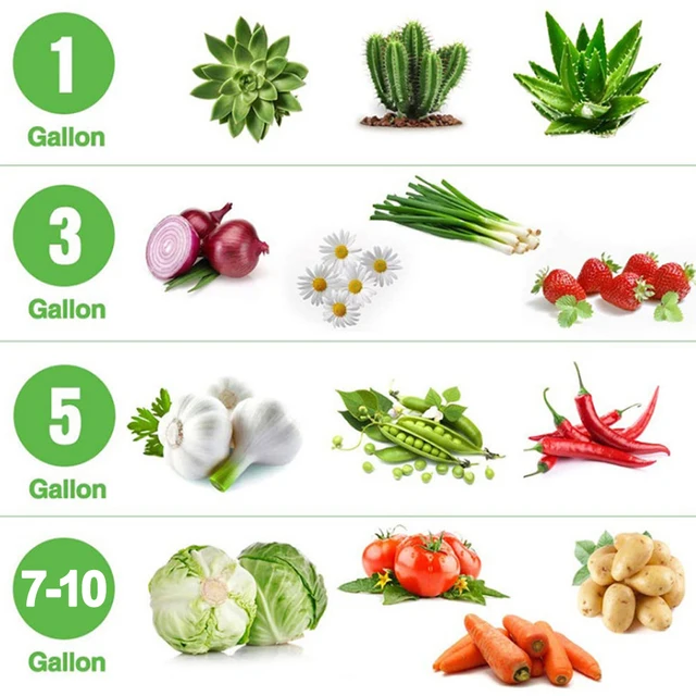 Vastag Ültetési Táska Burgonya Szövet Zöldség Palánta Érez - Image 2