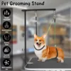 Dog Grooming Table Arm Iron Pet Grooming Stand with Clamp Height Adjustable Fixed Dog Beauty Stand for Pet Nail Clipping Haircut 2