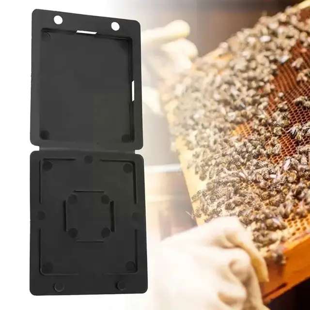 Méhkas Méh Csapda Bogárgyűjtő Méhész Tároló Kaptár Fészek Fekete Fogás Műanyag Doboz Tok Rovar Szerszám Répa