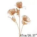 Image 16