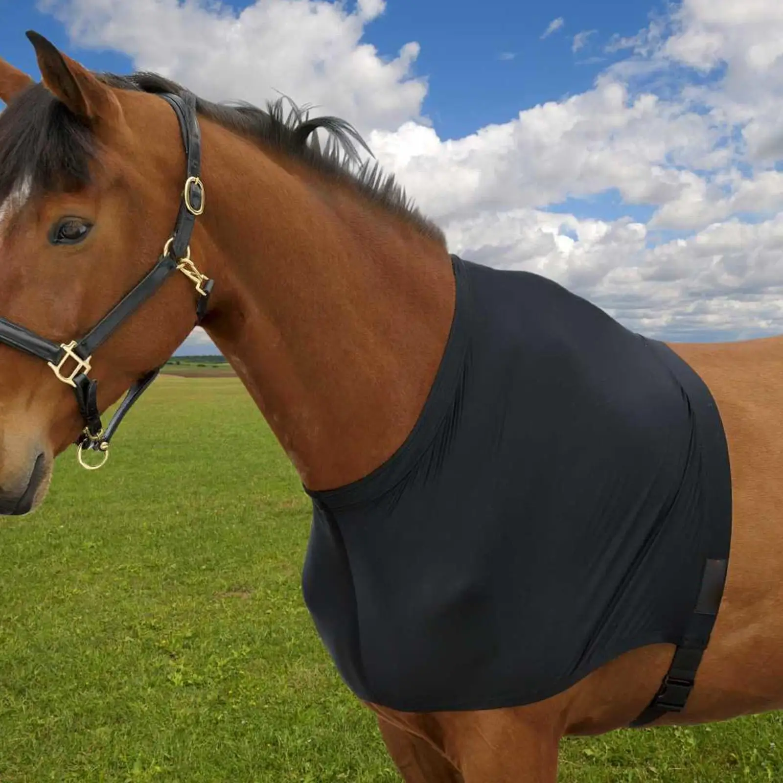 Horse Shoulder Guard Lightweight Horse Chest Saver Protector Cover Ventilated Guard Breathable Belly Equipment