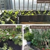 Plastic Raised Garden Bed with Legs Raised Planter Box Container with Drainage Holes Elevated Propagation Large Flower Pot Box 3