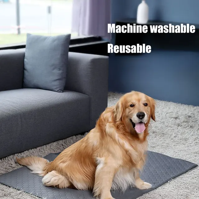 Dog Pee Pad Blanket Reusable Absorbent Diaper Washable Puppy Training Pad Pet Bed Urine Mat for Pet Car Seat Cover Pet Supplies 2