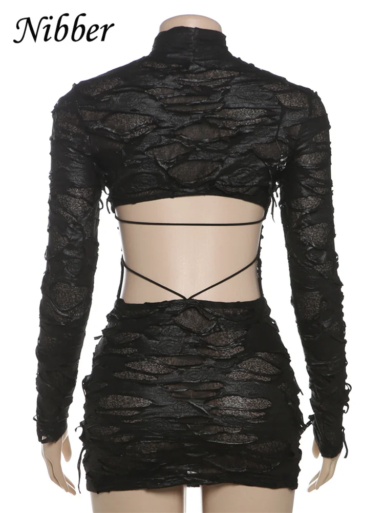 Nibber Destruction Style Dress Women Autumn Trend Turtleneck Backless See Through Full Sleeve Skinny  Sexy Stretch Mini Bodycon
