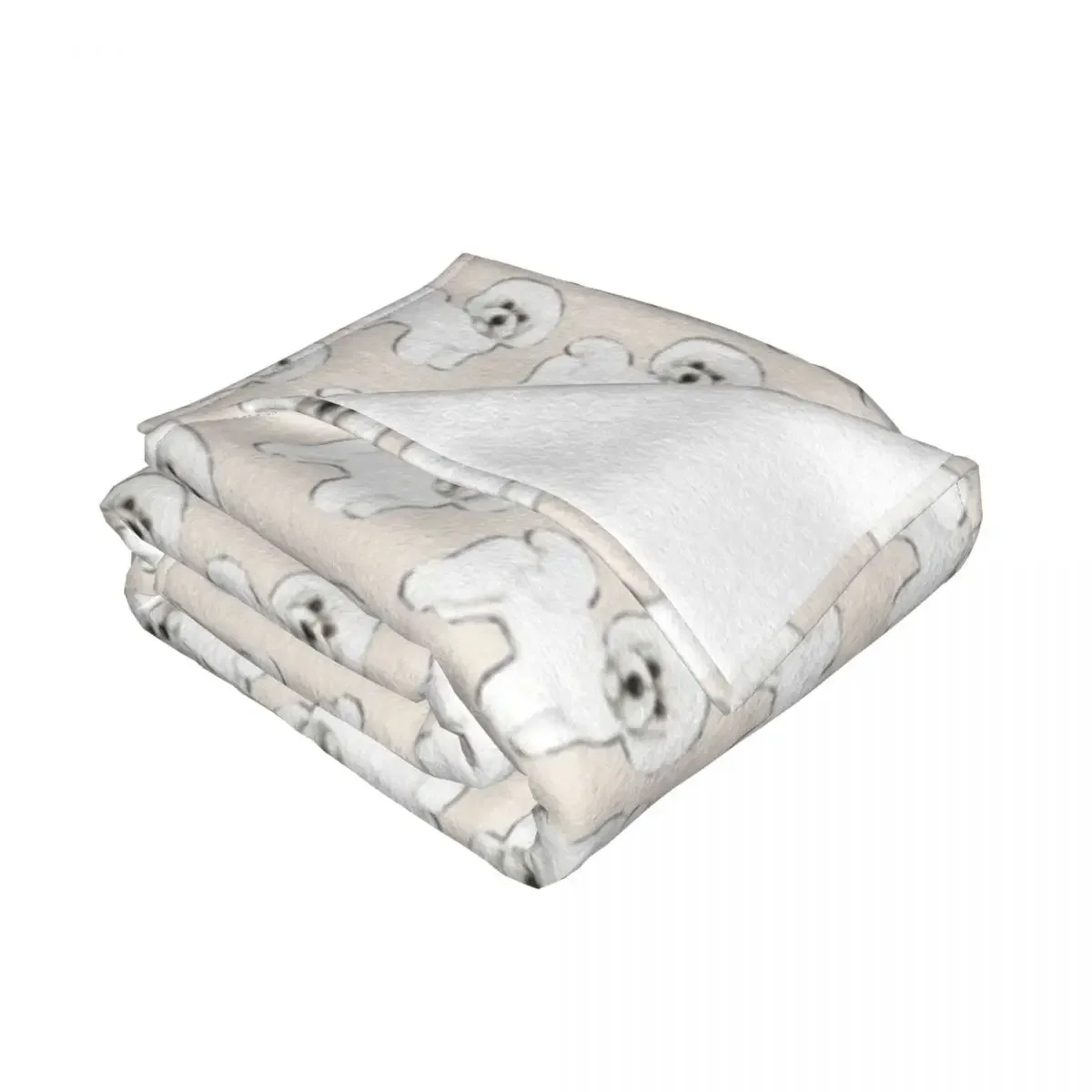 Bichon Frise ũ�� ������ ���, ħ�� ǫ���� ���� ���