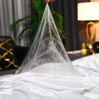 Couette d'hiver de luxe 5 kg, 100% soie de mûrier, noyau épaissi, housse en coton pour le printemps, l'automne, couverture de maison, chaleur 4