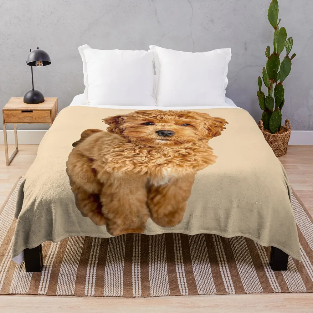 

Плед Cavapoo, одеяло, теплые одеяла, Утяжеленные одеяла