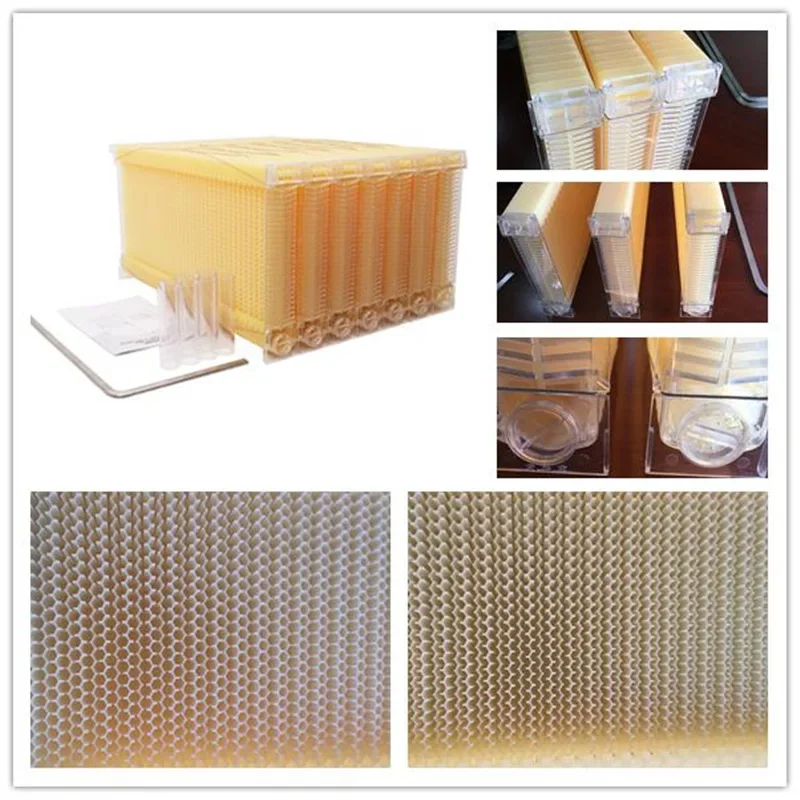 Self Flowing Hive Frames Automatic Extraction Boxes Honey Spleen Plastic Honey Hive Frames Beehives