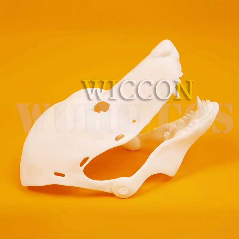 Cosplay Costumes Kigurumi Base Beast Skull Mask Cosplay Fursuit Animal Wolf Head Skull Proboscis 3d Printing Masks Halloween Party Canine Teeth